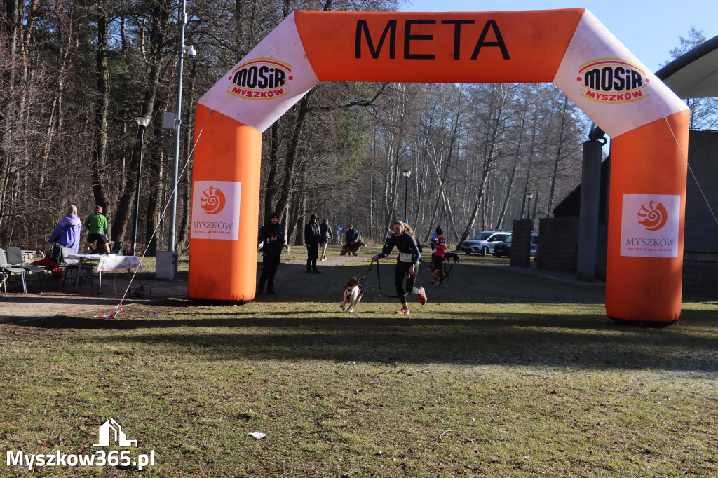 Fotorelacja I: Jurajski Dogtrekking w Myszkowie