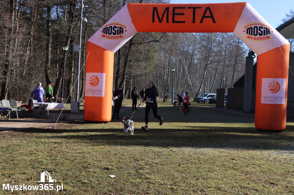 Fotorelacja I: Jurajski Dogtrekking w Myszkowie