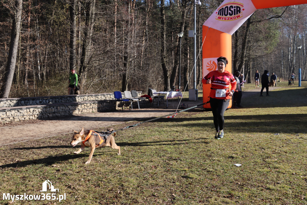 Fotorelacja I: Jurajski Dogtrekking w Myszkowie