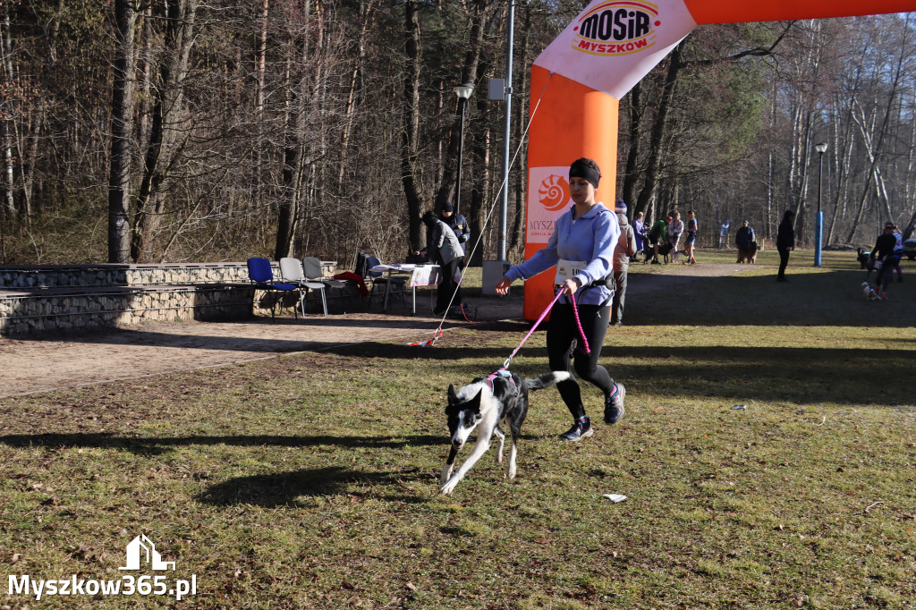 Fotorelacja I: Jurajski Dogtrekking w Myszkowie