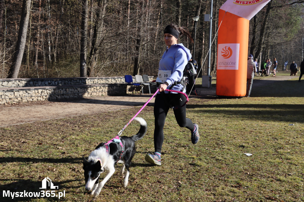 Fotorelacja I: Jurajski Dogtrekking w Myszkowie
