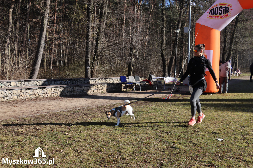 Fotorelacja I: Jurajski Dogtrekking w Myszkowie