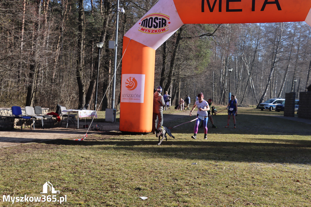 Fotorelacja I: Jurajski Dogtrekking w Myszkowie