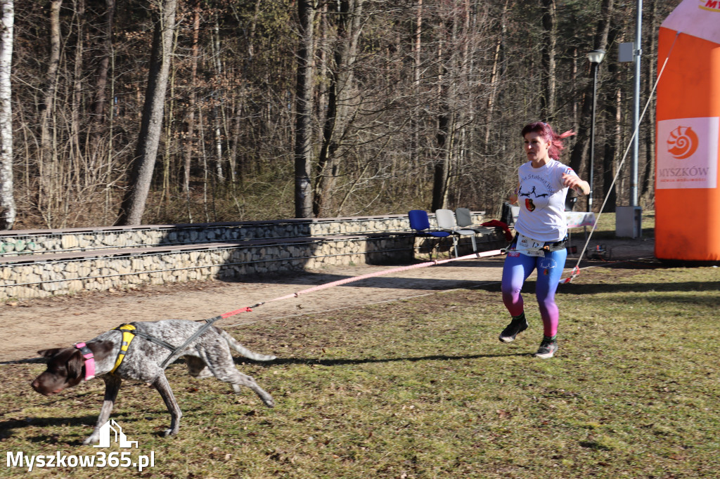 Fotorelacja I: Jurajski Dogtrekking w Myszkowie