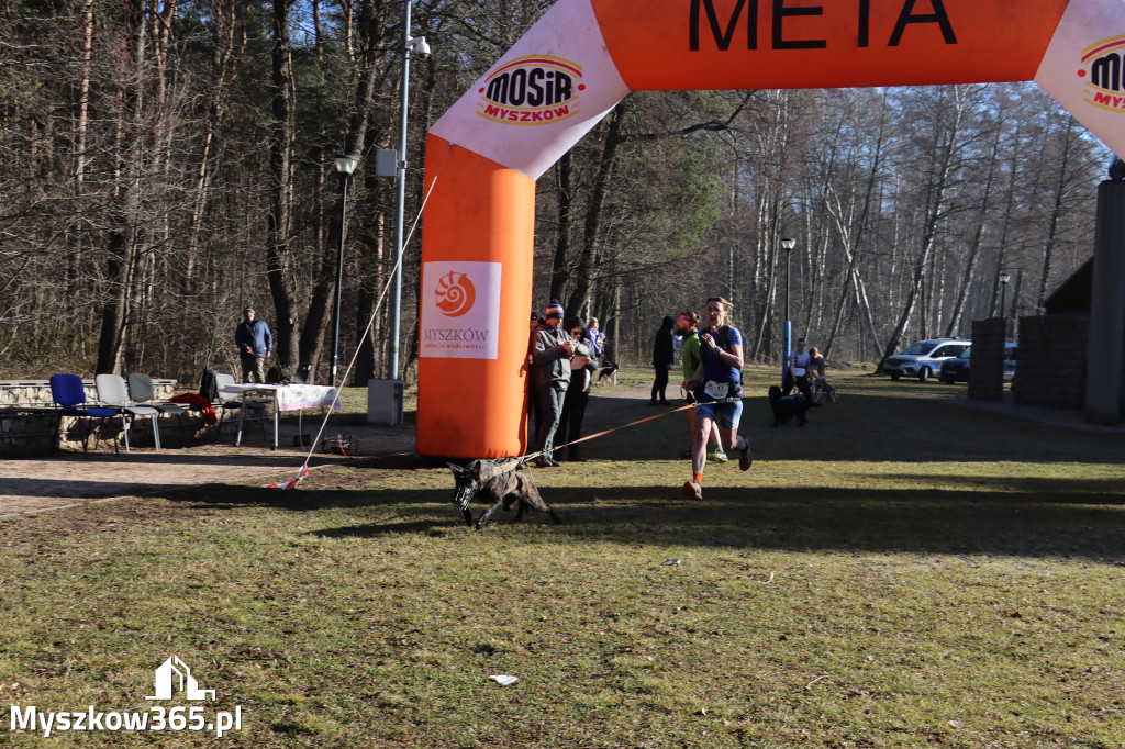 Fotorelacja I: Jurajski Dogtrekking w Myszkowie