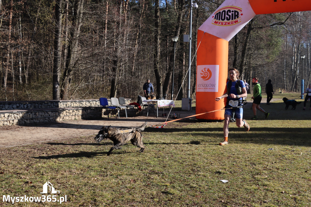 Fotorelacja I: Jurajski Dogtrekking w Myszkowie