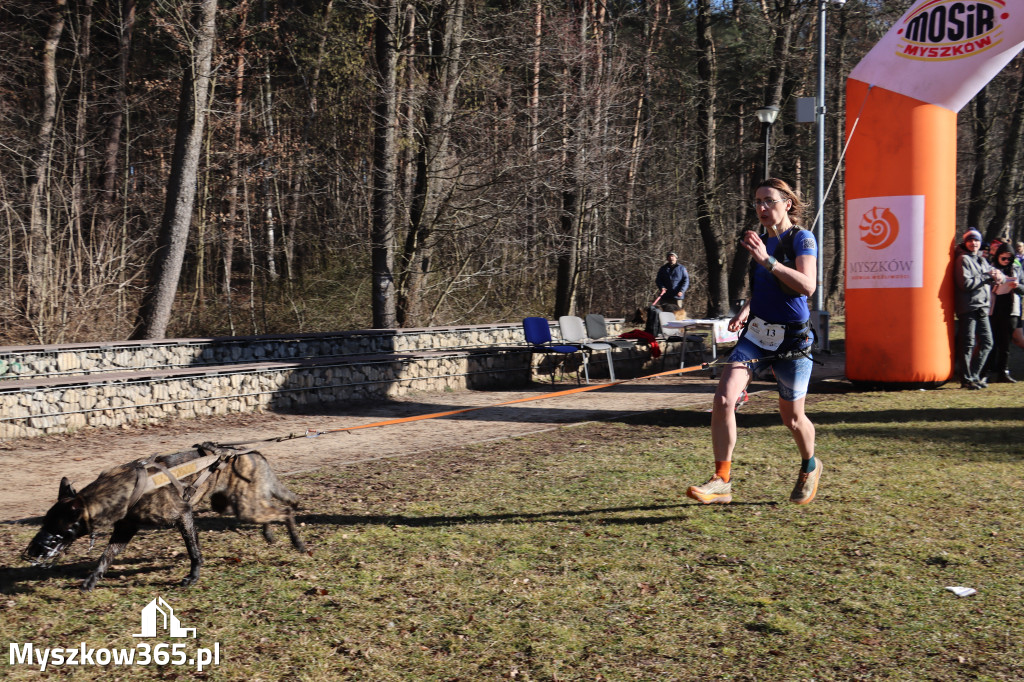 Fotorelacja I: Jurajski Dogtrekking w Myszkowie