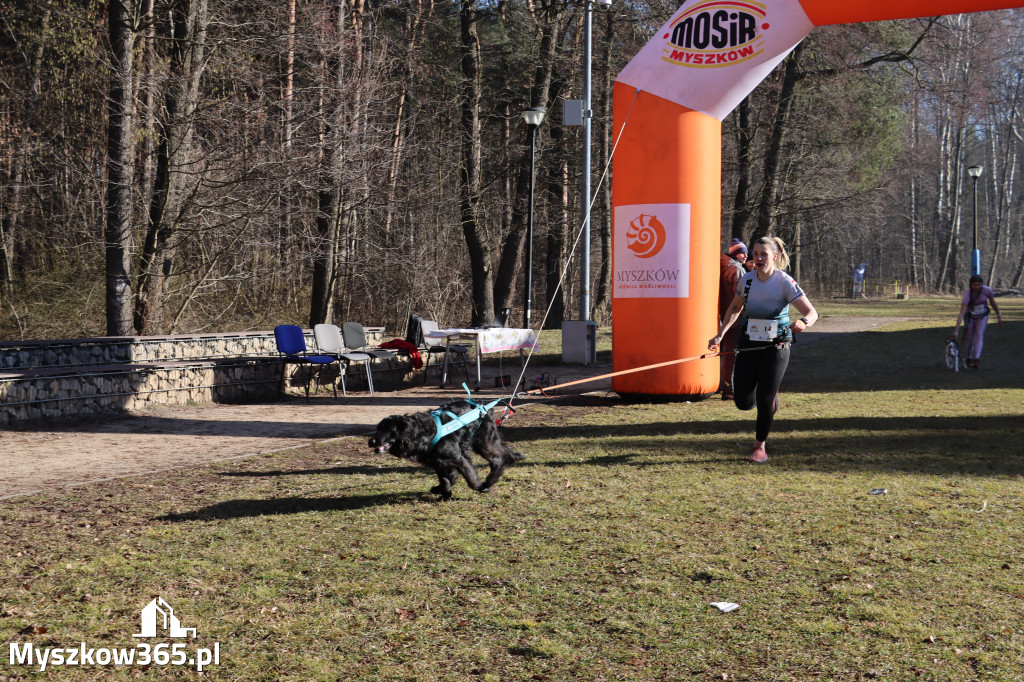 Fotorelacja I: Jurajski Dogtrekking w Myszkowie