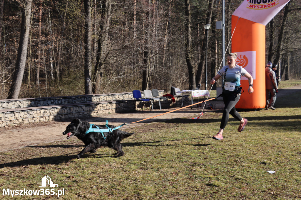 Fotorelacja I: Jurajski Dogtrekking w Myszkowie