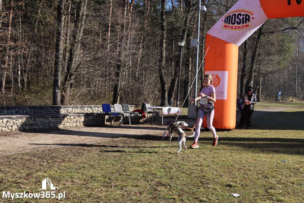 Fotorelacja I: Jurajski Dogtrekking w Myszkowie