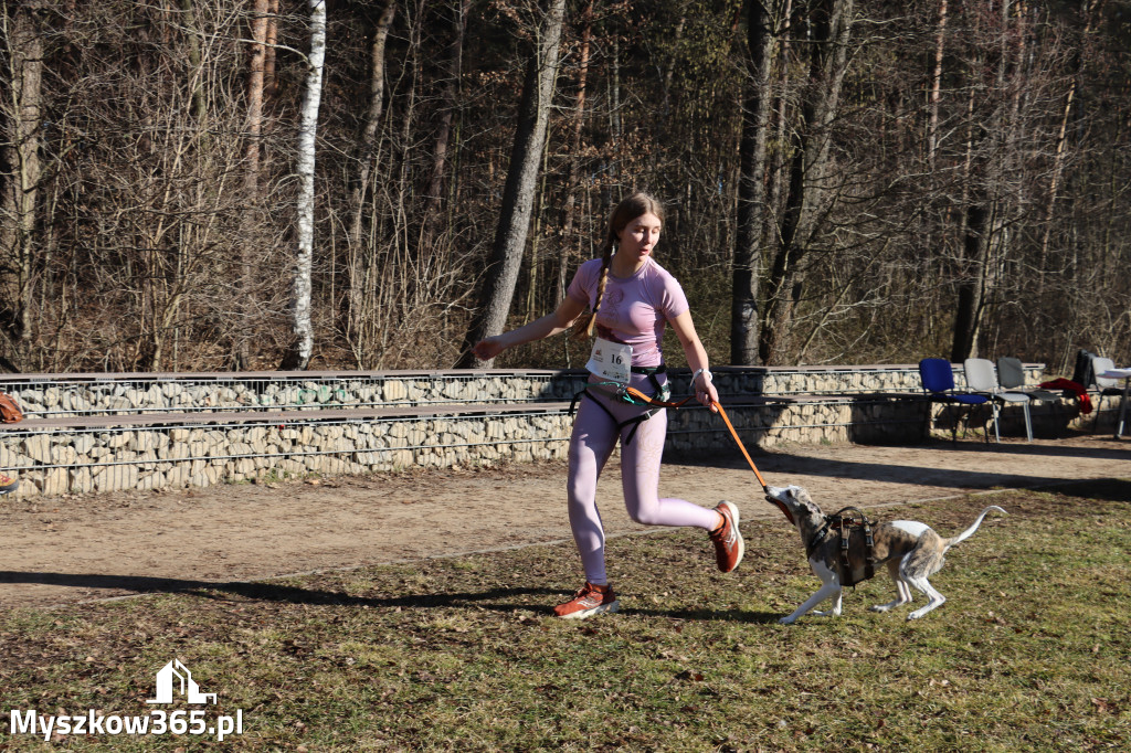 Fotorelacja I: Jurajski Dogtrekking w Myszkowie
