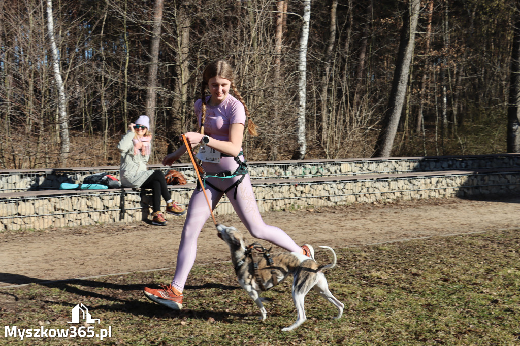 Fotorelacja I: Jurajski Dogtrekking w Myszkowie