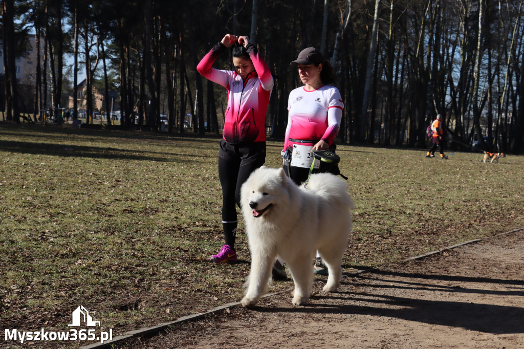 Fotorelacja I: Jurajski Dogtrekking w Myszkowie