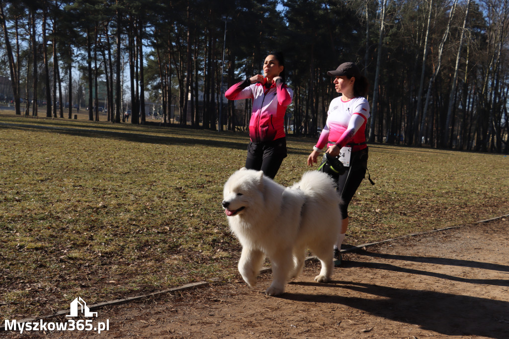 Fotorelacja I: Jurajski Dogtrekking w Myszkowie