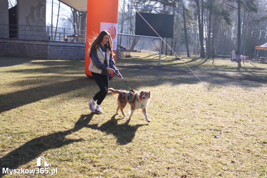 Fotorelacja I: Jurajski Dogtrekking w Myszkowie
