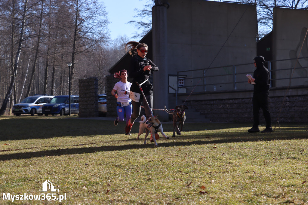 Fotorelacja I: Jurajski Dogtrekking w Myszkowie