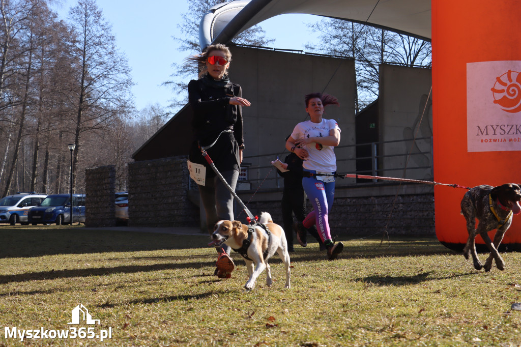 Fotorelacja I: Jurajski Dogtrekking w Myszkowie