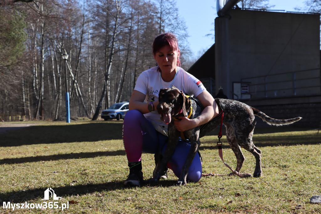 Fotorelacja I: Jurajski Dogtrekking w Myszkowie