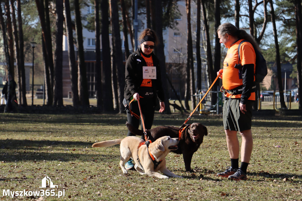 Fotorelacja I: Jurajski Dogtrekking w Myszkowie