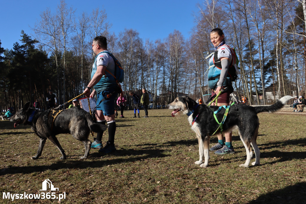 Fotorelacja I: Jurajski Dogtrekking w Myszkowie