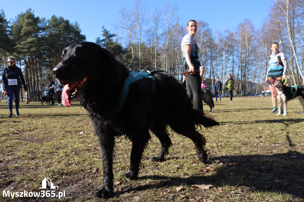 Fotorelacja I: Jurajski Dogtrekking w Myszkowie