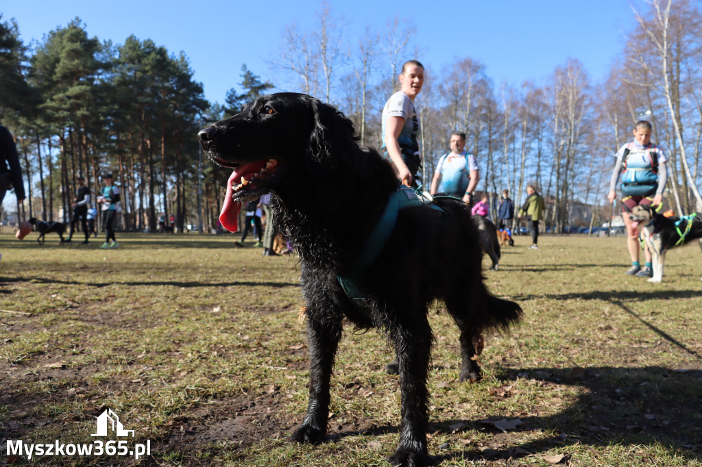 Fotorelacja I: Jurajski Dogtrekking w Myszkowie