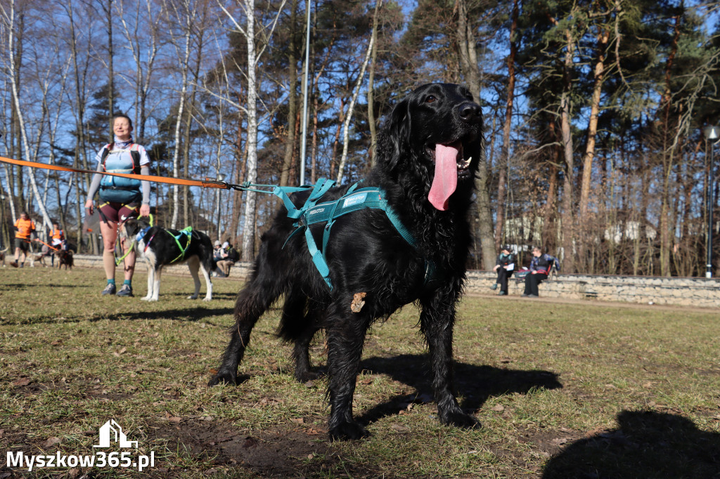 Fotorelacja I: Jurajski Dogtrekking w Myszkowie