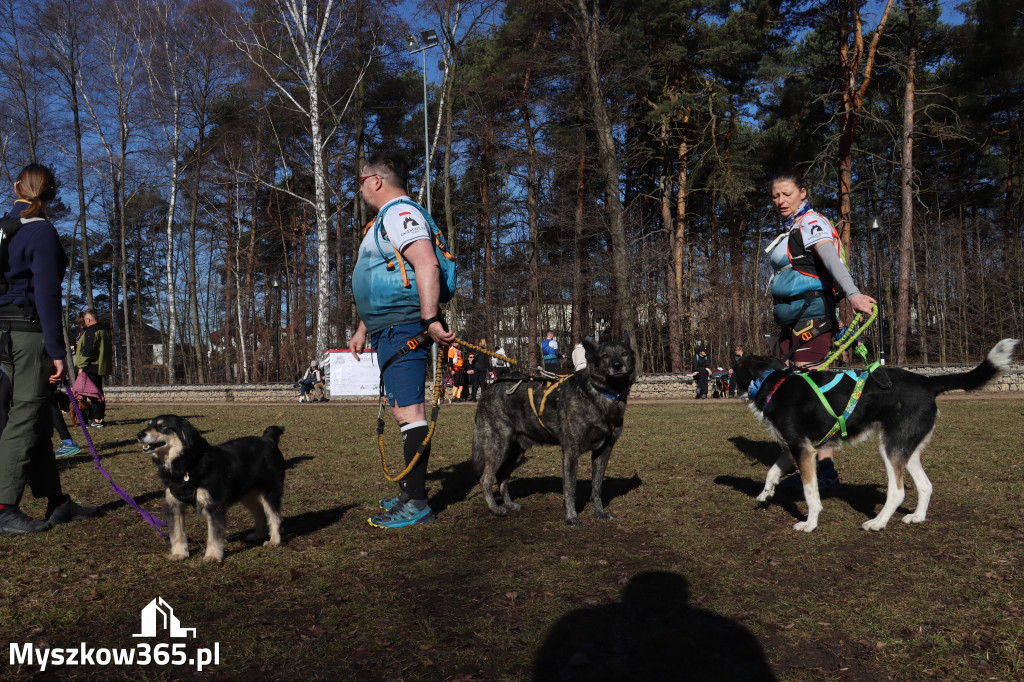 Fotorelacja I: Jurajski Dogtrekking w Myszkowie