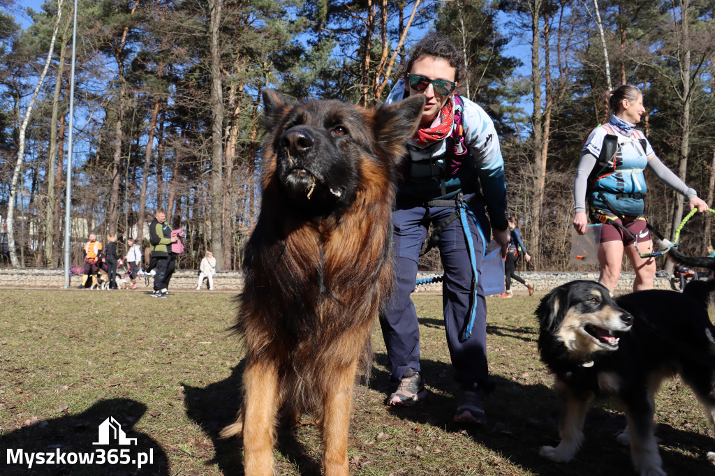 Fotorelacja I: Jurajski Dogtrekking w Myszkowie