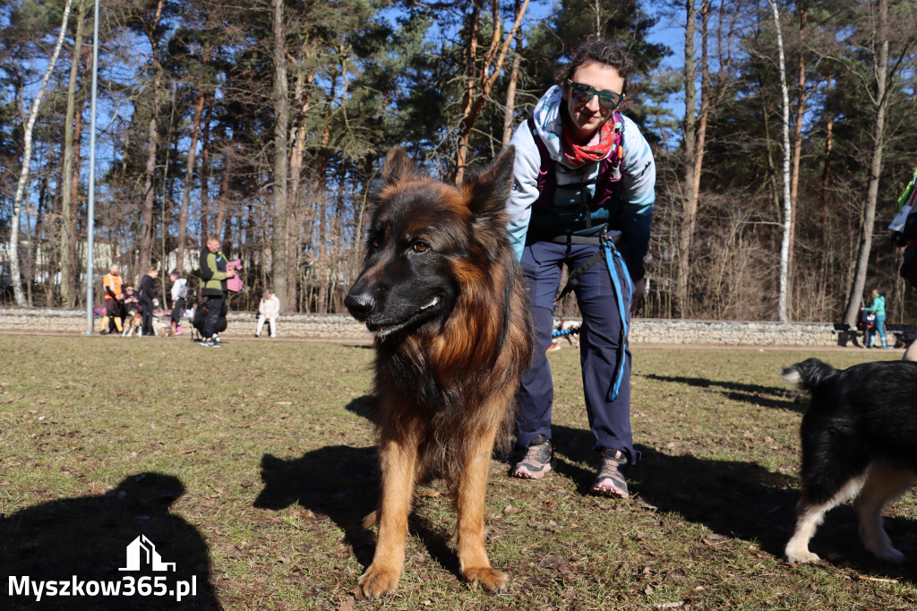 Fotorelacja I: Jurajski Dogtrekking w Myszkowie