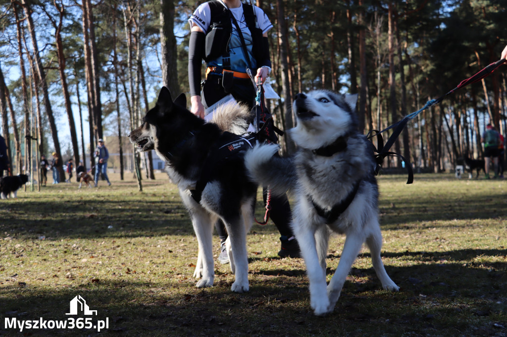 Fotorelacja I: Jurajski Dogtrekking w Myszkowie