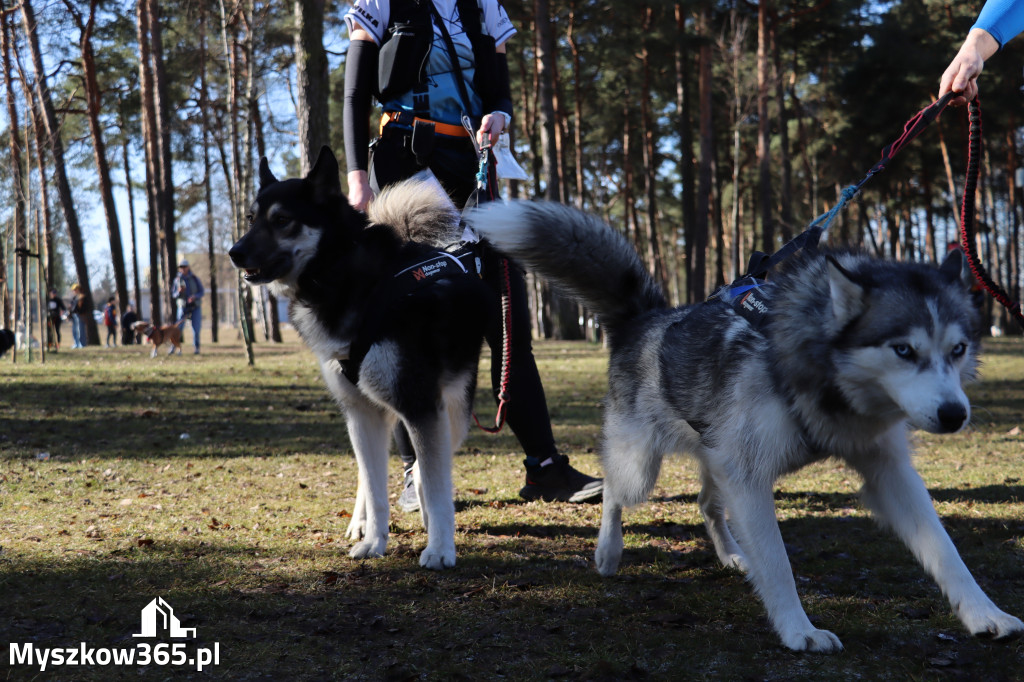 Fotorelacja I: Jurajski Dogtrekking w Myszkowie