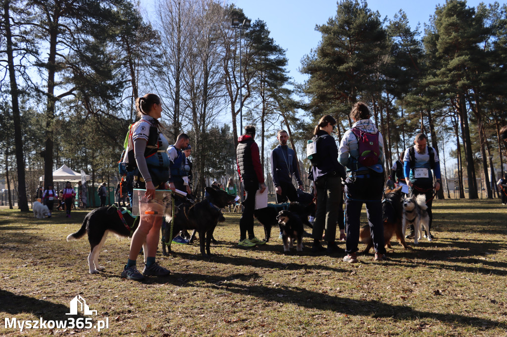Fotorelacja I: Jurajski Dogtrekking w Myszkowie