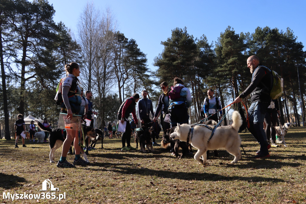Fotorelacja I: Jurajski Dogtrekking w Myszkowie