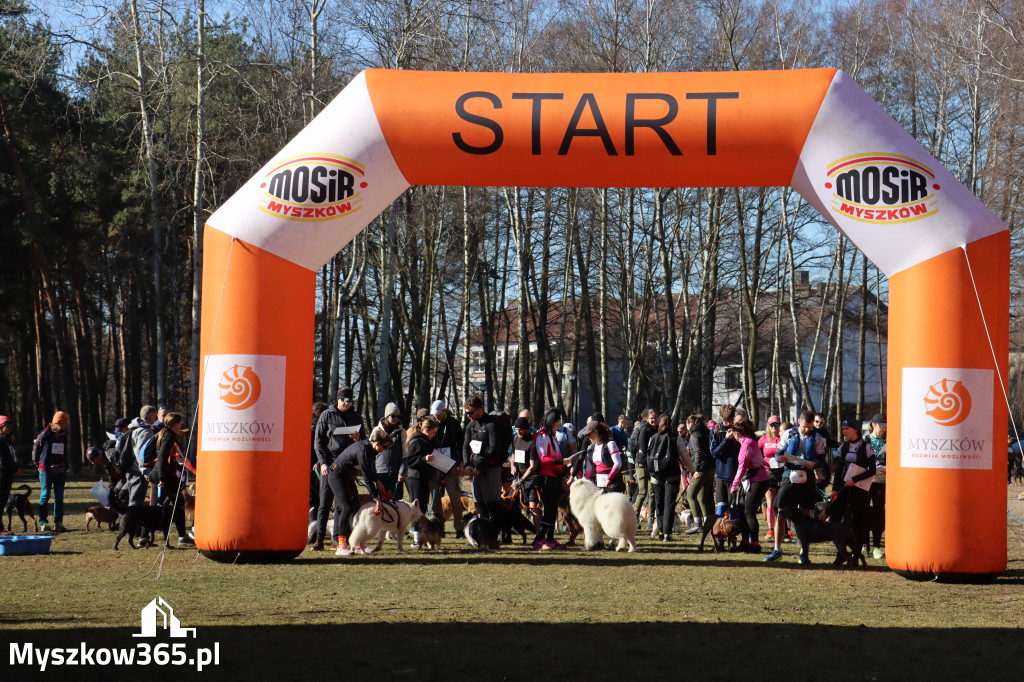 Fotorelacja I: Jurajski Dogtrekking w Myszkowie