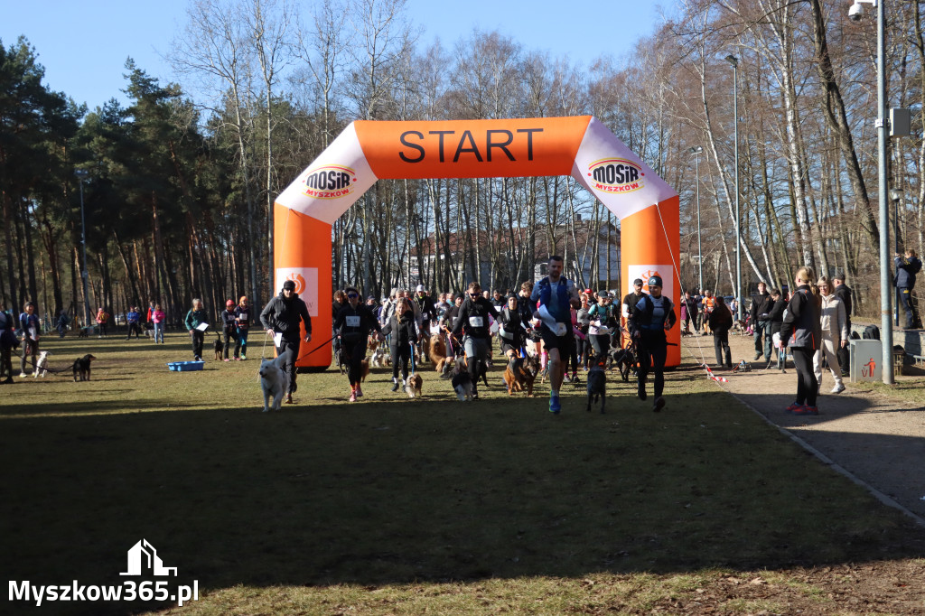 Fotorelacja I: Jurajski Dogtrekking w Myszkowie