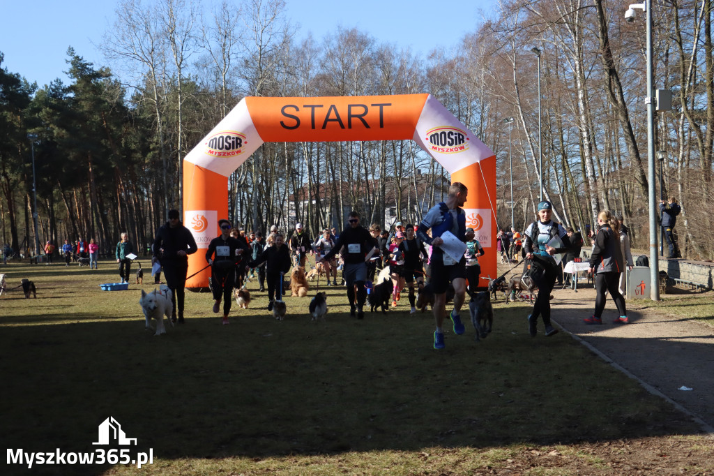 Fotorelacja I: Jurajski Dogtrekking w Myszkowie