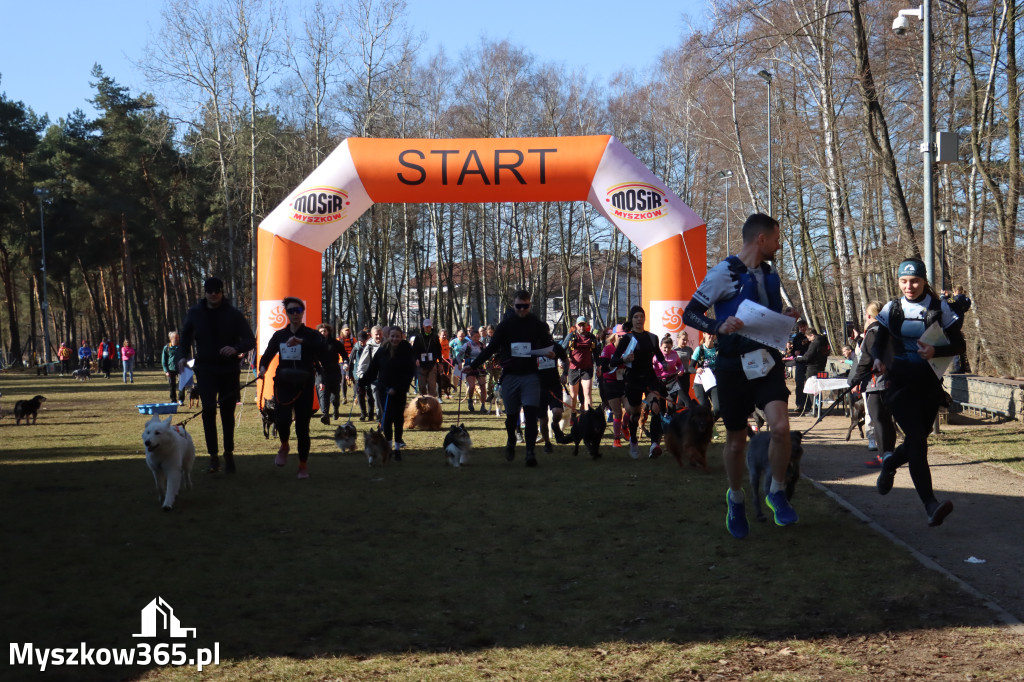 Fotorelacja I: Jurajski Dogtrekking w Myszkowie