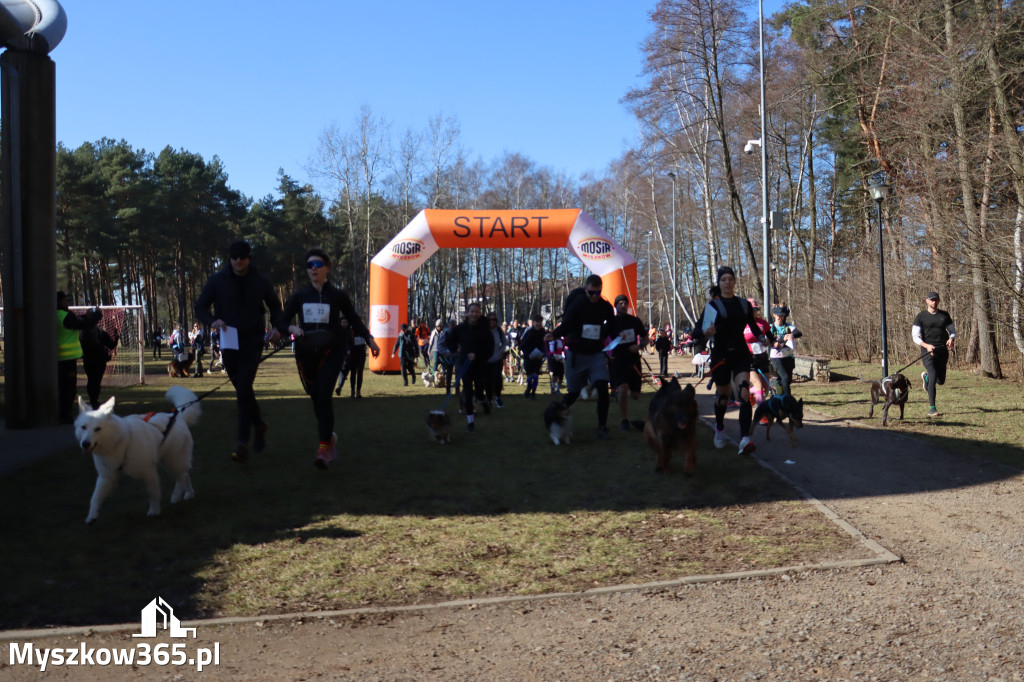 Fotorelacja I: Jurajski Dogtrekking w Myszkowie