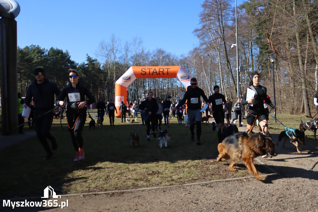 Fotorelacja I: Jurajski Dogtrekking w Myszkowie
