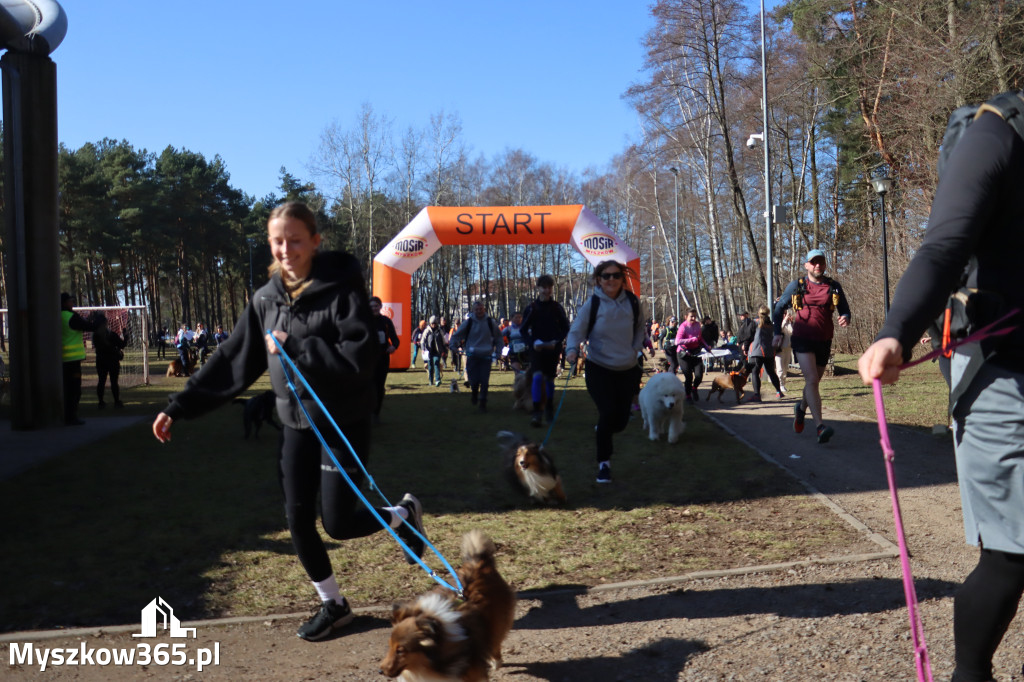 Fotorelacja I: Jurajski Dogtrekking w Myszkowie