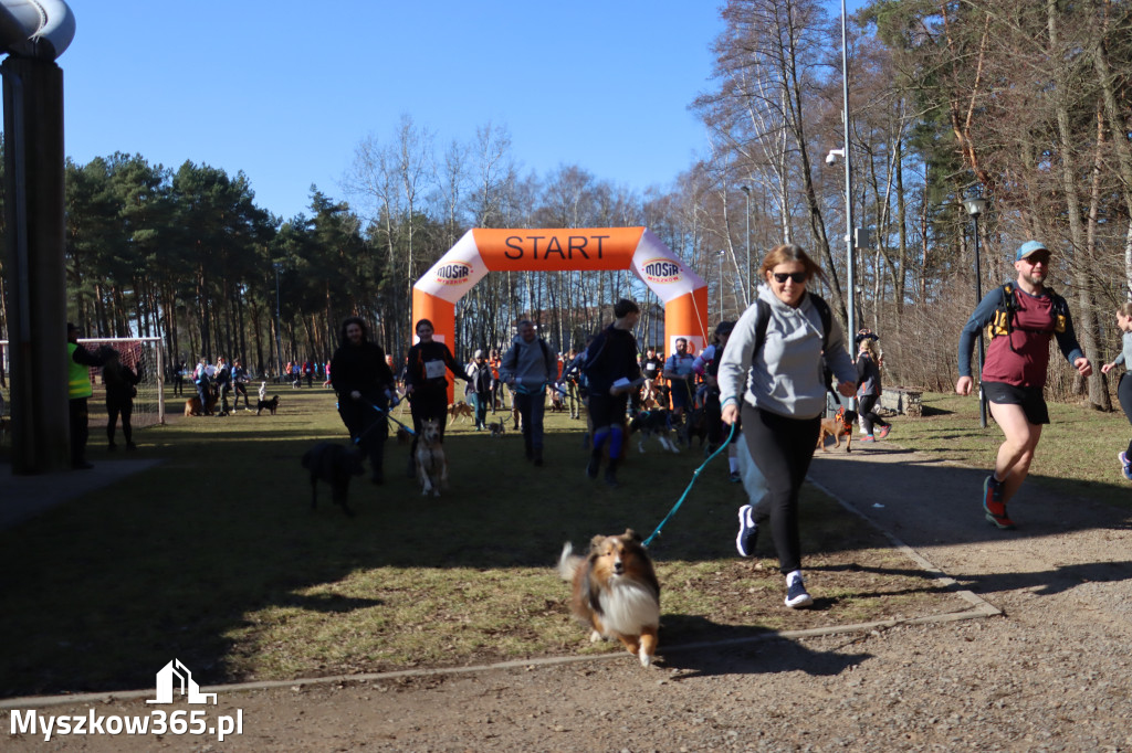 Fotorelacja I: Jurajski Dogtrekking w Myszkowie