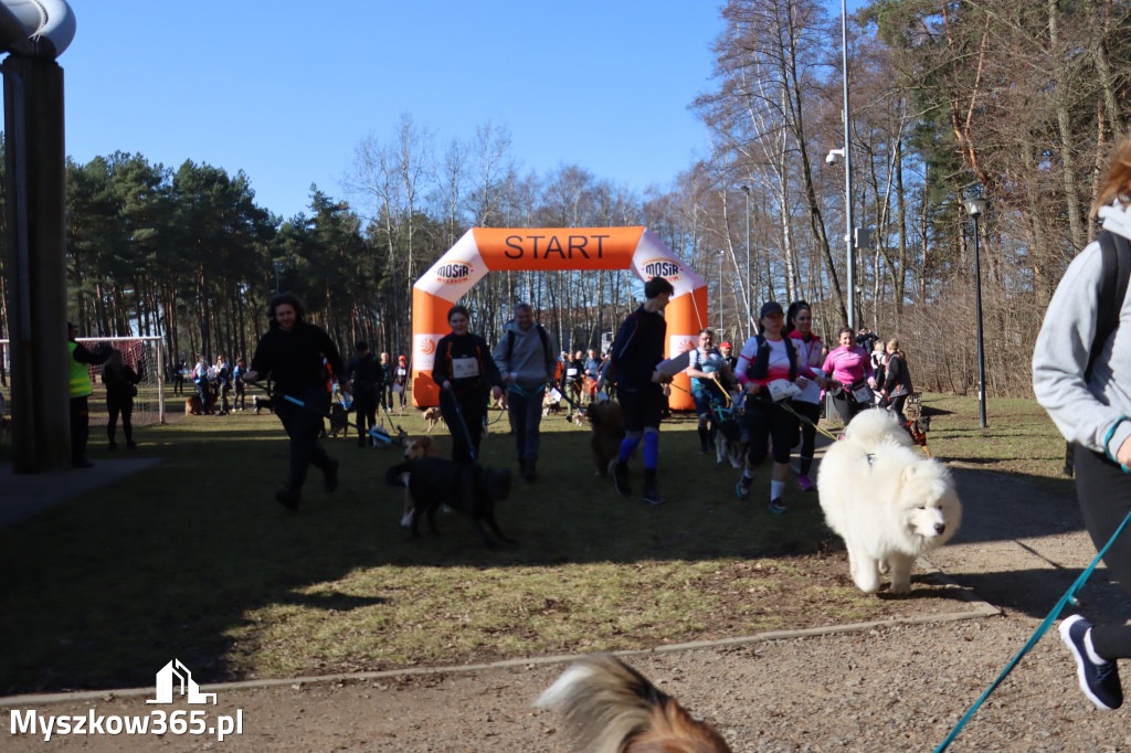 Fotorelacja I: Jurajski Dogtrekking w Myszkowie