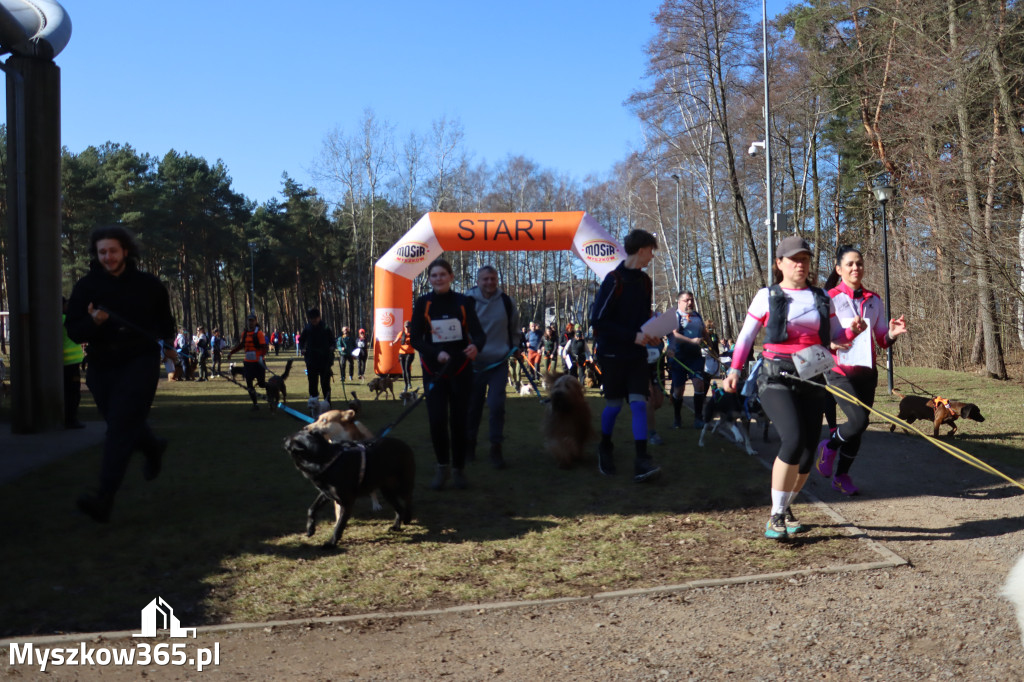 Fotorelacja I: Jurajski Dogtrekking w Myszkowie