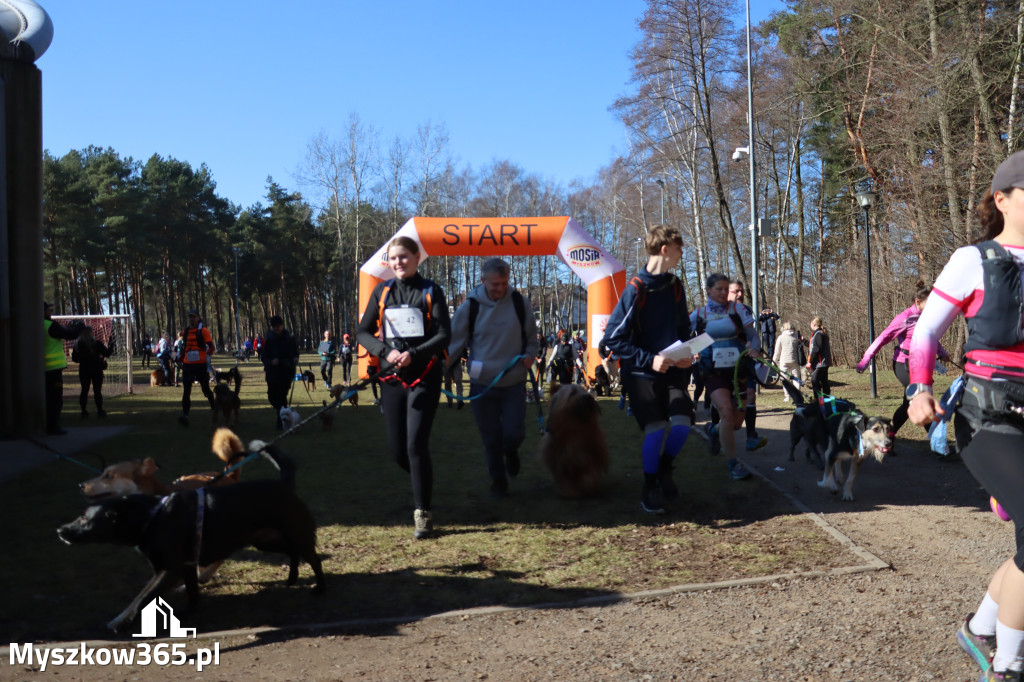 Fotorelacja I: Jurajski Dogtrekking w Myszkowie