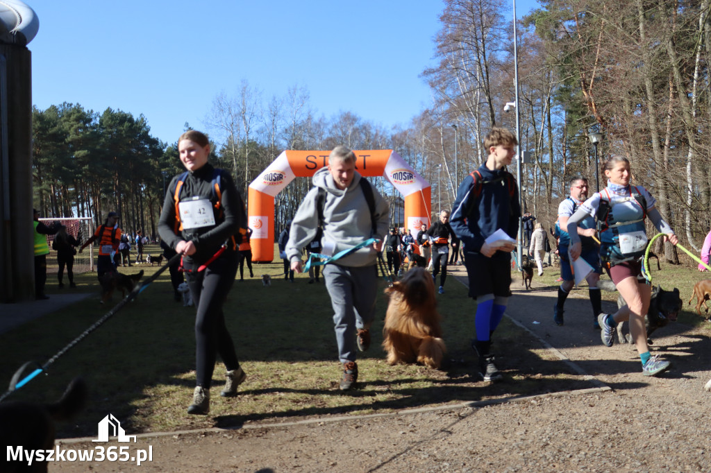 Fotorelacja I: Jurajski Dogtrekking w Myszkowie