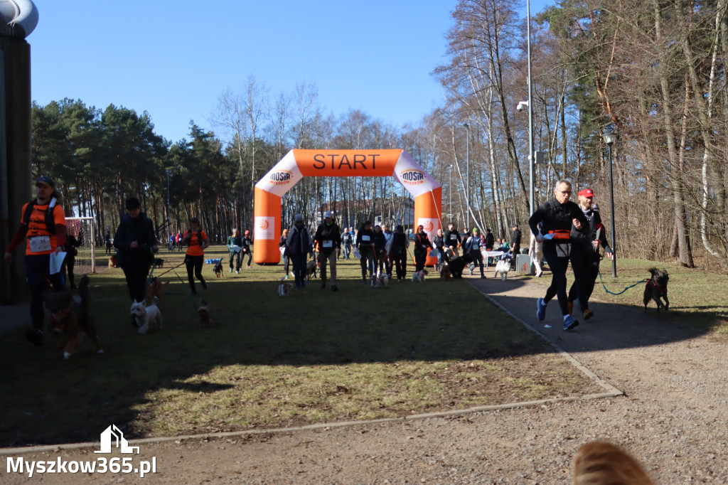 Fotorelacja I: Jurajski Dogtrekking w Myszkowie