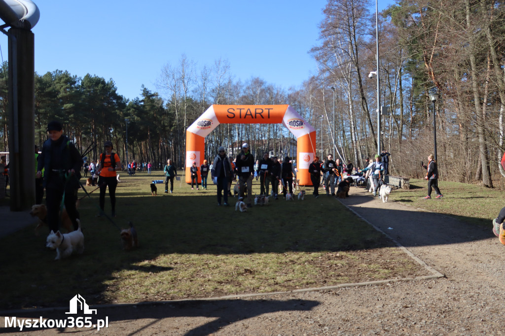 Fotorelacja I: Jurajski Dogtrekking w Myszkowie