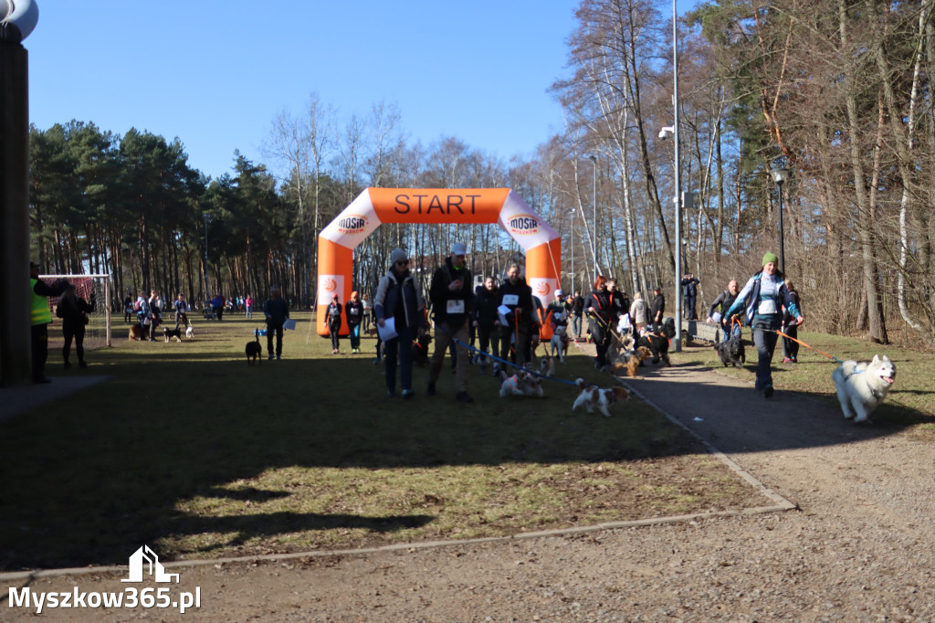 Fotorelacja I: Jurajski Dogtrekking w Myszkowie