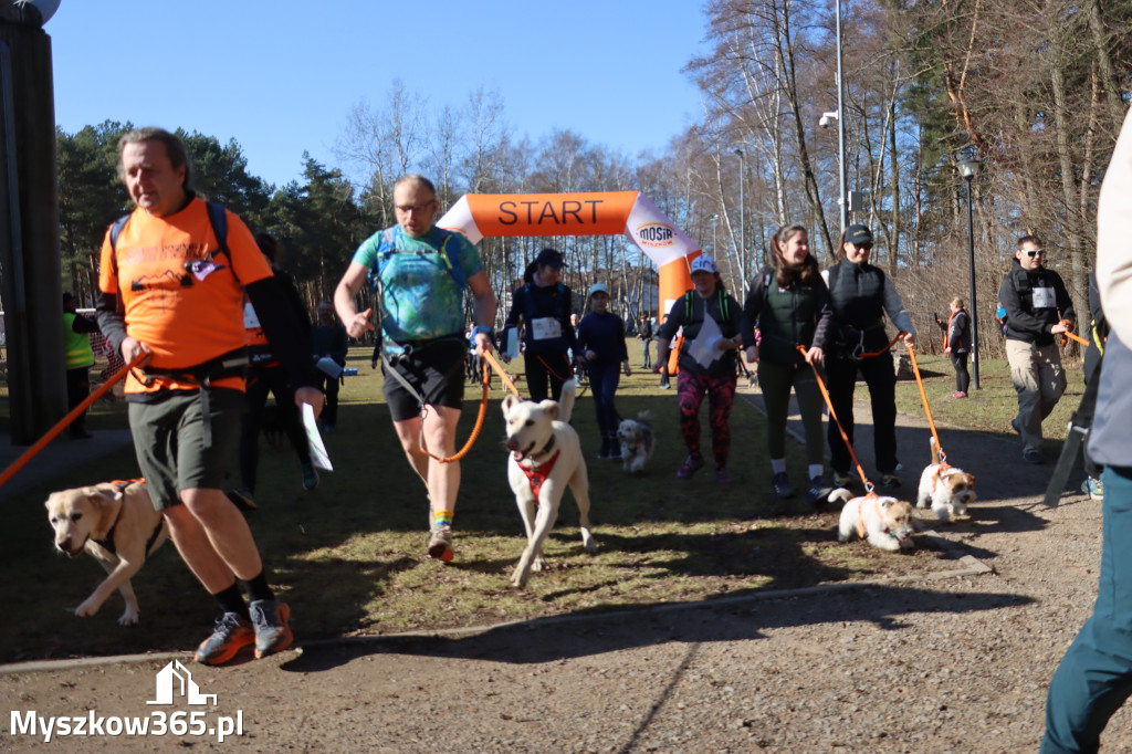 Fotorelacja I: Jurajski Dogtrekking w Myszkowie